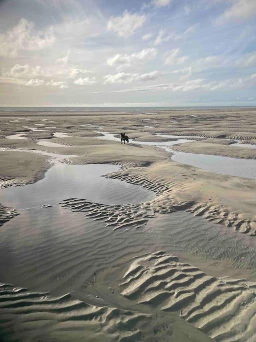 Appartement A 100M De La Plage Neufchâtel-Hardelot Exteriér fotografie